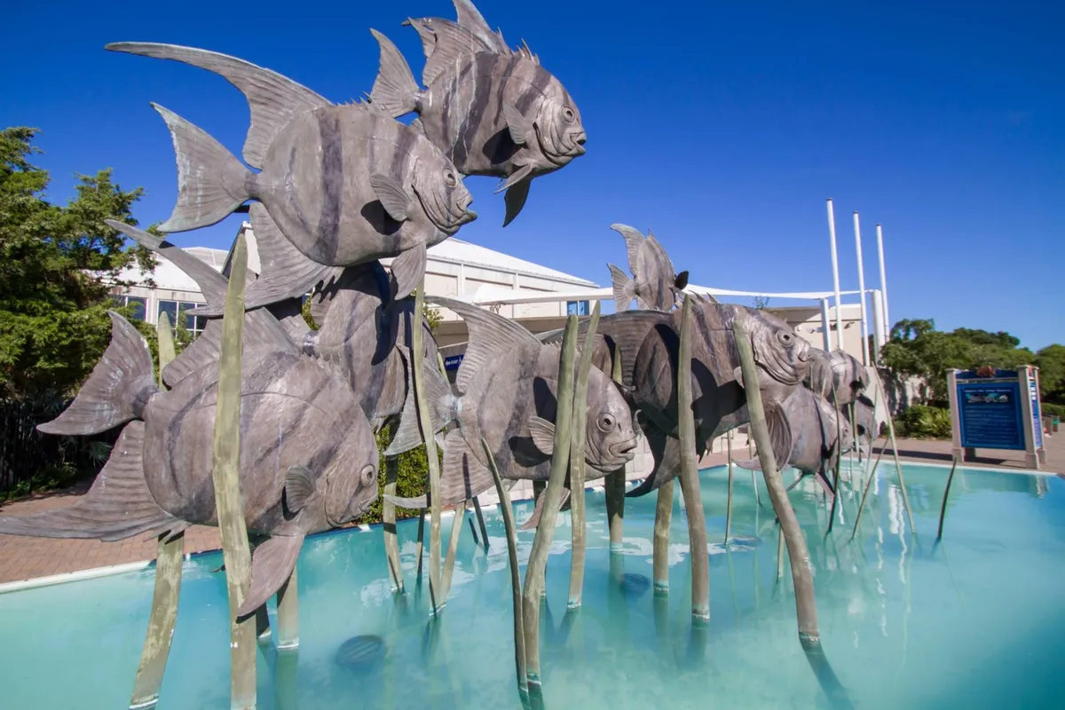 Large metallic fish sculptures are set beside a calm water surface in a landscaped park. Green aquatic plants add to the artistic and natural ambiance, inviting visitors to appreciate public art, enjoy a leisurely stroll, or simply relax by the water.