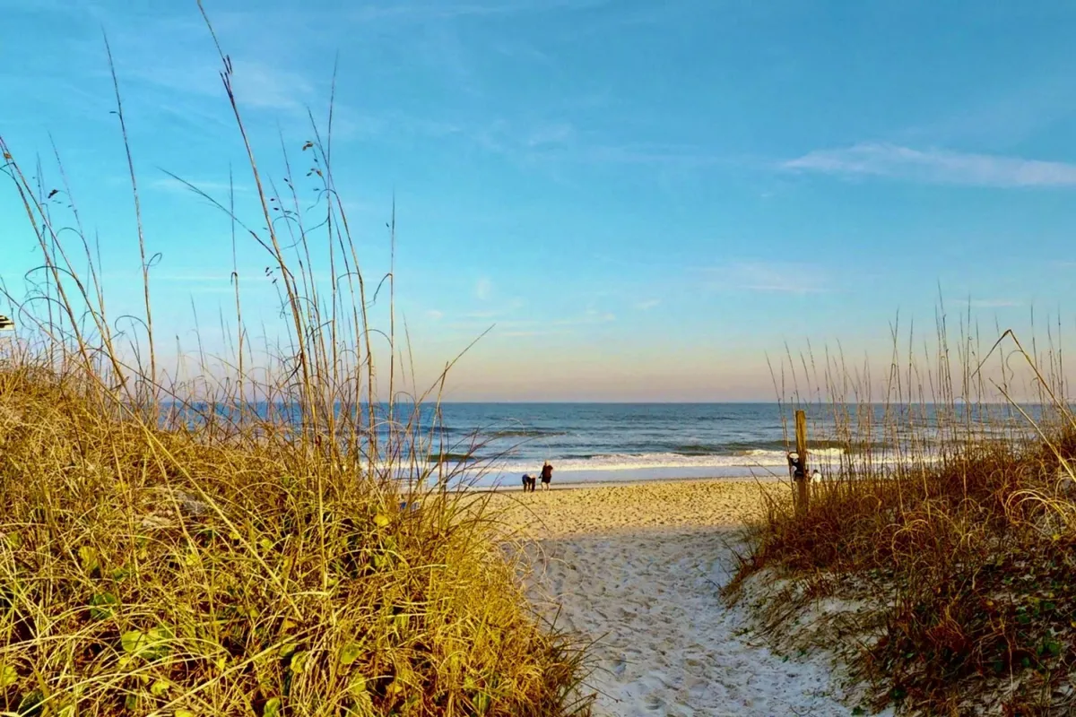 A wide view of the ocean and sandy beach, dotted with people walking and playing near the dune grass. The peaceful scene evokes the joy of morning jogs, sunset walks, and leisurely moments spent by the shore.